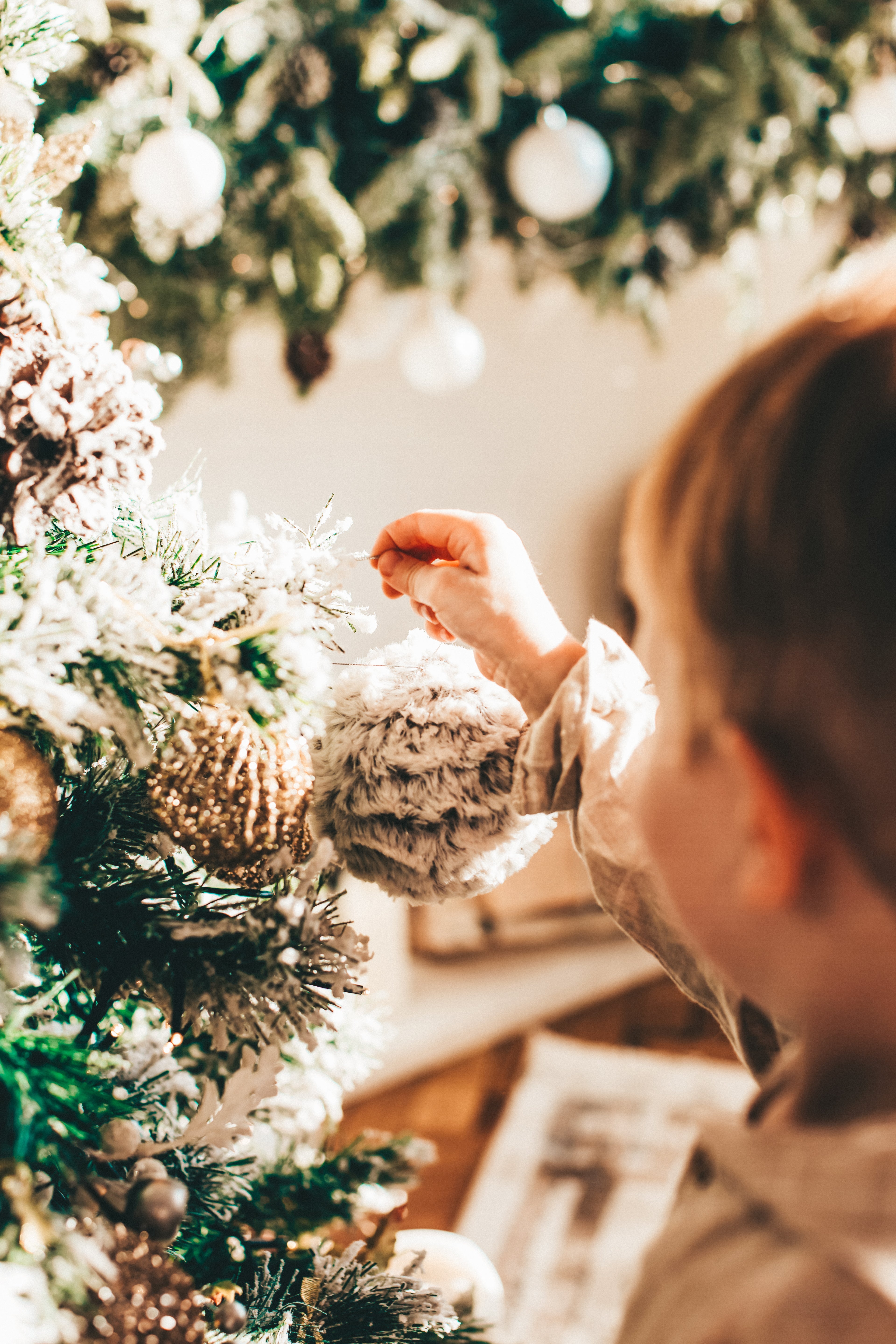 Navidad 
