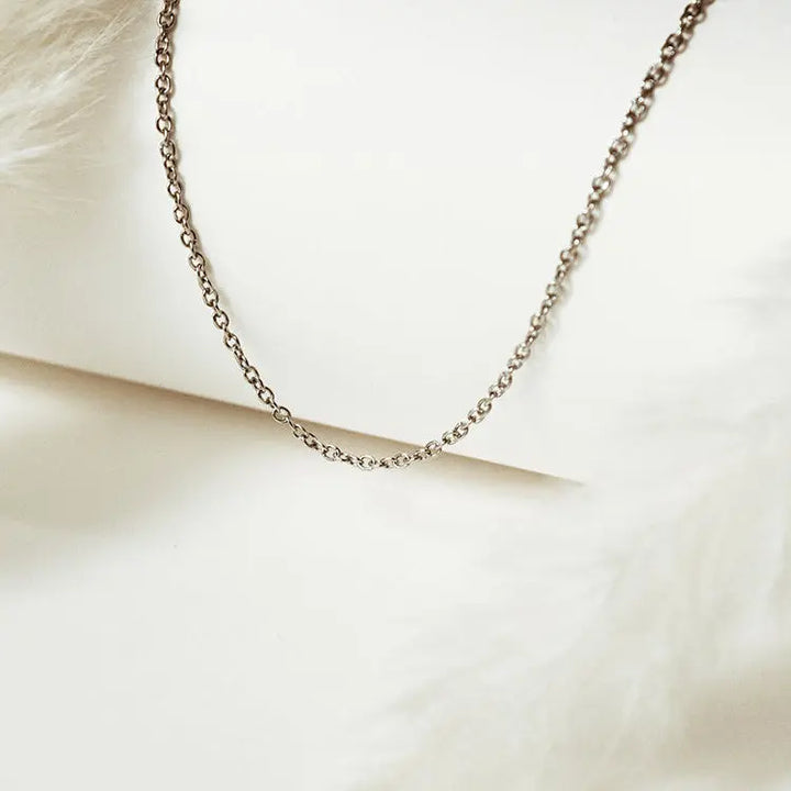 Modelo de Cadena Plata - Sensalea