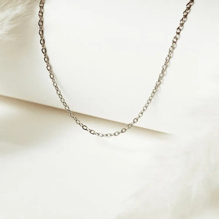 Modelo de Cadena Plata - Sensalea